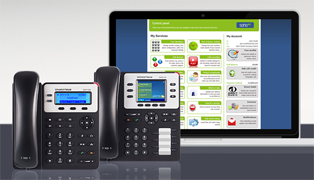 Business VoIP Packages